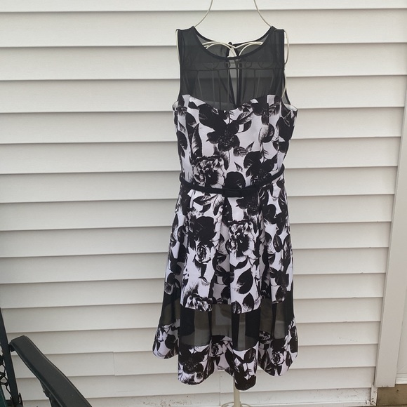 White House black market beautiful dress new with tags - Picture 2 of 9